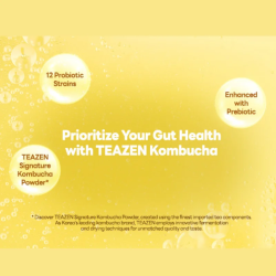 TEAZEN Kombucha Ananas – Thé Probiotique Instantané