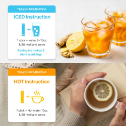 TEAZEN Kombucha Chaud Citron Gingembre – 10 sticks probiotiques