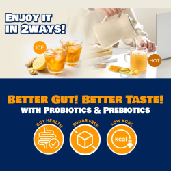 TEAZEN Kombucha Chaud Citron Gingembre – 10 sticks probiotiques