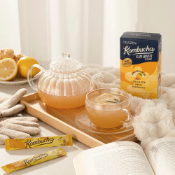 TEAZEN Kombucha Chaud Citron Gingembre – 10 sticks probiotiques