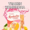 TEAZEN Kombucha Mangue Goyave – Thé Fermenté Probiotique