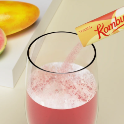 TEAZEN Kombucha Mangue Goyave – Thé Fermenté Probiotique