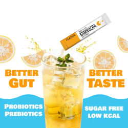 TEAZEN Kombucha Citron Yuzu – Thé Instantané Probiotiques