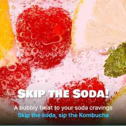 TEAZEN Pfirsich-Kombucha – Instant Probiotischer Tee