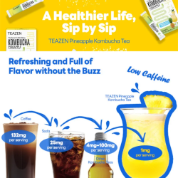 TEAZEN Ananas Kombucha – Instant Probiotische Thee